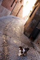  Toledo