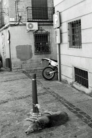  Toledo