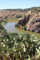  Toledo