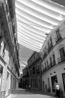  Sevilla