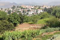  Alhambra Palace, Granada