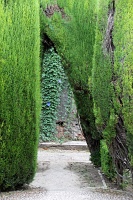  Alhambra Palace, Granada