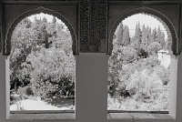 IMG_4559
