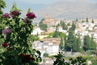 Alhambra Palace, Granada