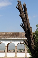  Alhambra Palace, Granada