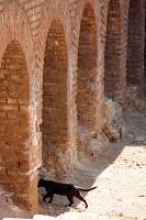  Alhambra Palace, Granada