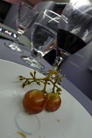  Grapes with Portal Late Bottled Vintage Porto 2008 - IAH-FRA
