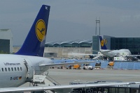  Lufthansa aircraft - Frankfurt Airport