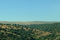  Countryside between Madrid and Avila