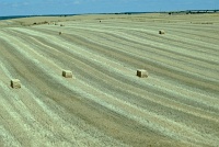  Countryside between Avila and Segovia