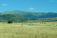  Countryside between Segovia and Madrid