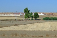  Countryside between Madrid and Toledo