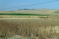  Countryside between Toledo and Madrid
