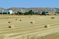  Countryside between Toledo and Madrid
