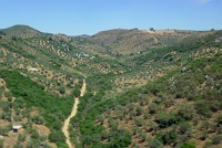  Countryside between Madrid and Seville