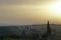  Countryside between Seville and Granada