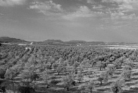  Countryside between Seville and Granada