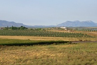  Countryside between Seville and Granada