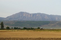  Countryside between Seville and Granada