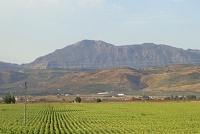  Countryside between Seville and Granada