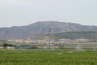  Countryside between Seville and Granada