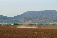  Countryside between Seville and Granada