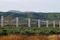  Countryside between Seville and Granada