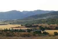 Countryside between Seville and Granada