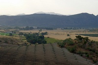  Countryside between Seville and Granada