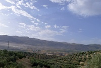 P1190891