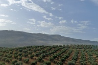 P1190896