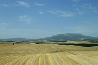  Countryside between Granada and Sevilla