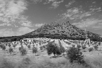  Countryside between Granada and Sevilla