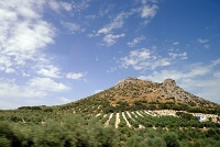  Countryside between Granada and Sevilla