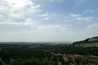  Countryside between Granada and Sevilla