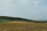  Countryside between Granada and Sevilla