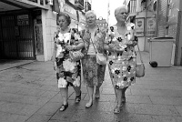  Estampados - Sevilla
