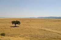  Countryside between Sevilla and Madrid