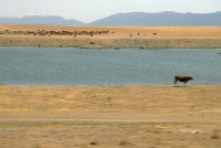  Countryside between Sevilla and Madrid