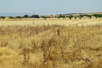  Countryside between Sevilla and Madrid