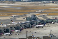  Frankfurt Airport
