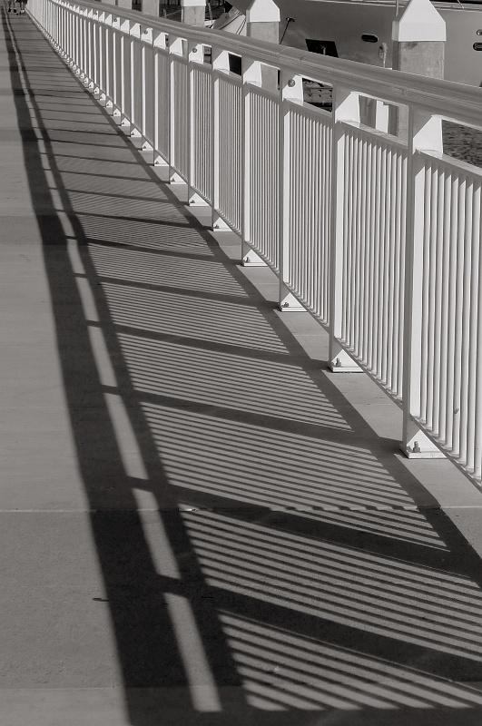 P1170309