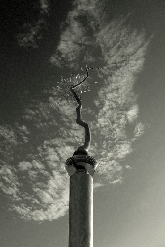 P1170804