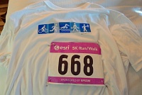  ESRI 5k Run/Walk shirt