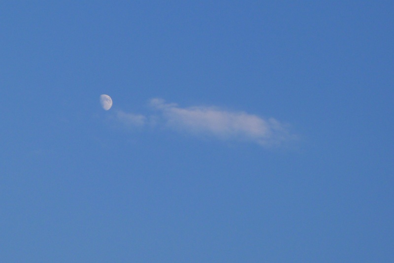 P1210495