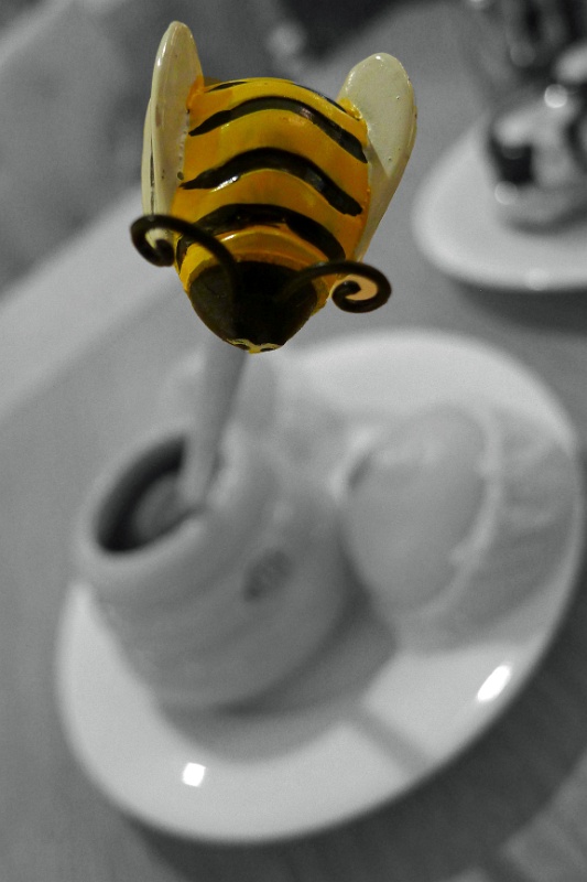 P1200906