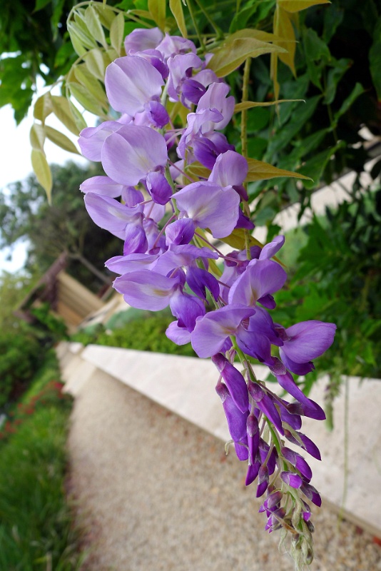 P1210023