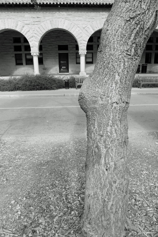 P1210091