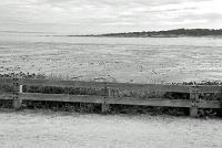 17-Mile Drive, Monterey Peninsula