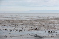  17-Mile Drive, Monterey Peninsula
